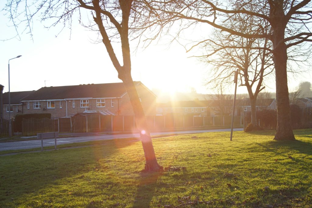 Sunlight shines through trees onto grassy park.